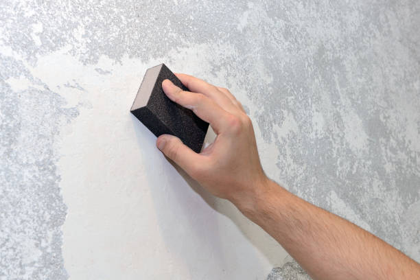 Best Attic Mold Removal  in Garden City, SC