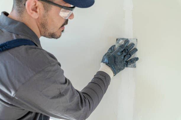 Best Black Mold Removal  in Garden City, SC