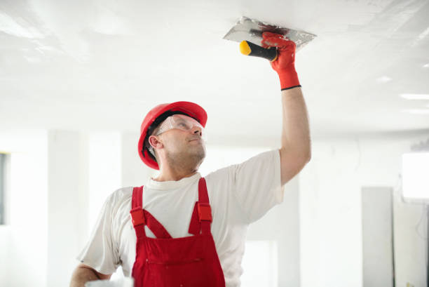 Best Residential Mold Inspection & Testing  in Garden City, SC