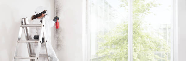 Best Mold Remediation for Healthcare Facilities  in Garden City, SC