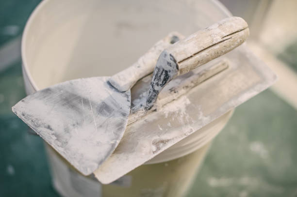 Best Industrial Mold Remediation  in Garden City, SC