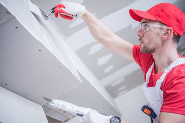 Best Air Quality Testing for Mold Spores  in Garden City, SC